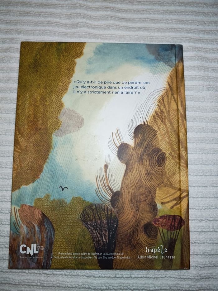 Livre illustré un grand jour de rien - photo numéro 2