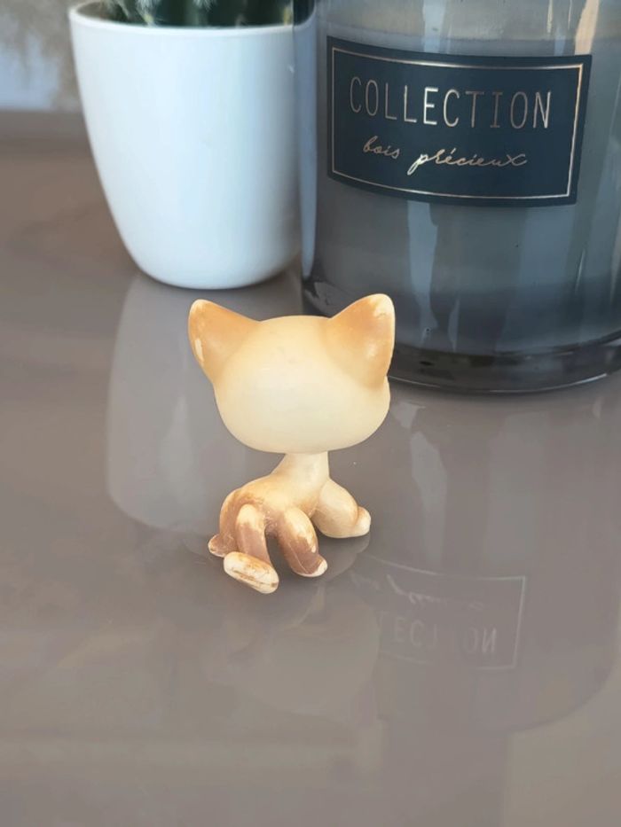 Littlest Pet Shop #816
Beige and tan short hair european cat - photo numéro 2