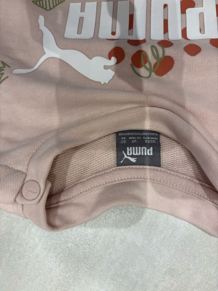 Lot pulls 12-18M - photo numéro 2