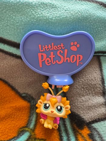 Personne papillon 🦋