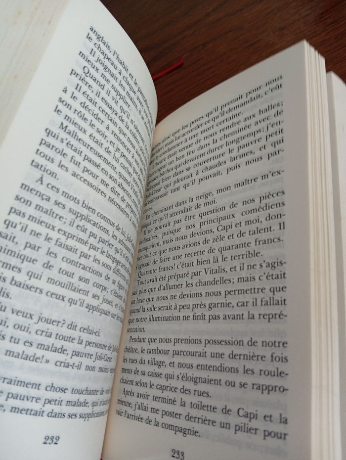 Sans famille - photo numéro 3