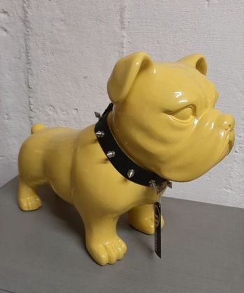 Bouledogue jaune