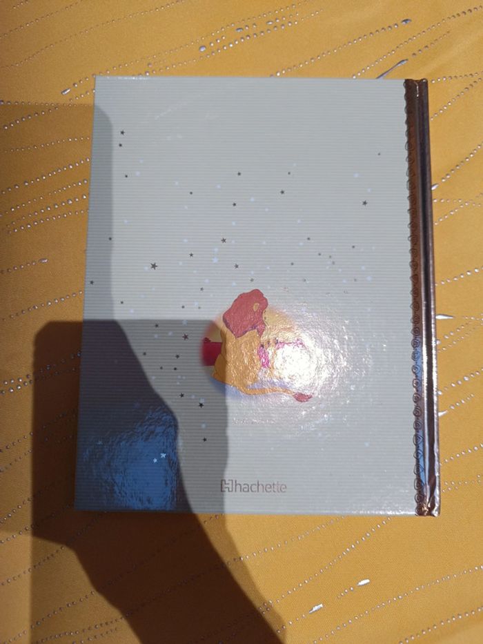 Libro Il Re Leone - photo numéro 4