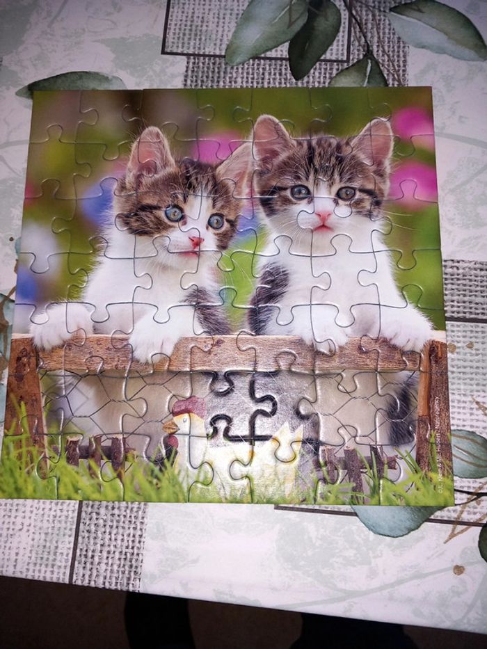 Ensemble de 3 puzzles chats ravensburger - photo numéro 4
