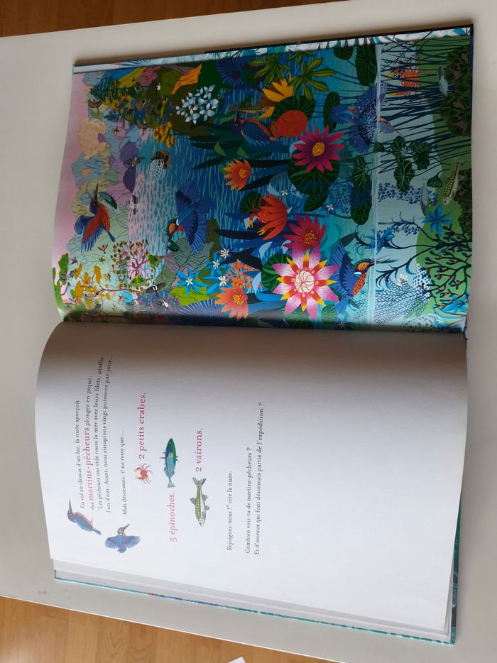 L'île aux oiseaux - photo numéro 5