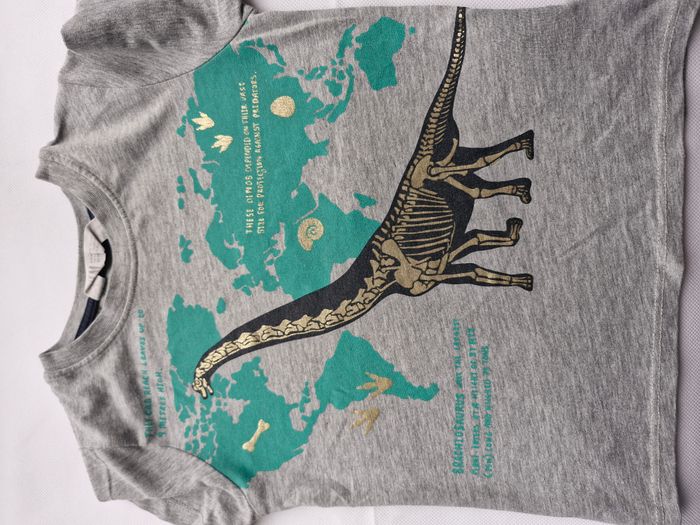 T-shirts manches courtes 2/4 ans H&M Gris chiné Squelette de dinosaure Brachiosaure carte du monde - photo numéro 3