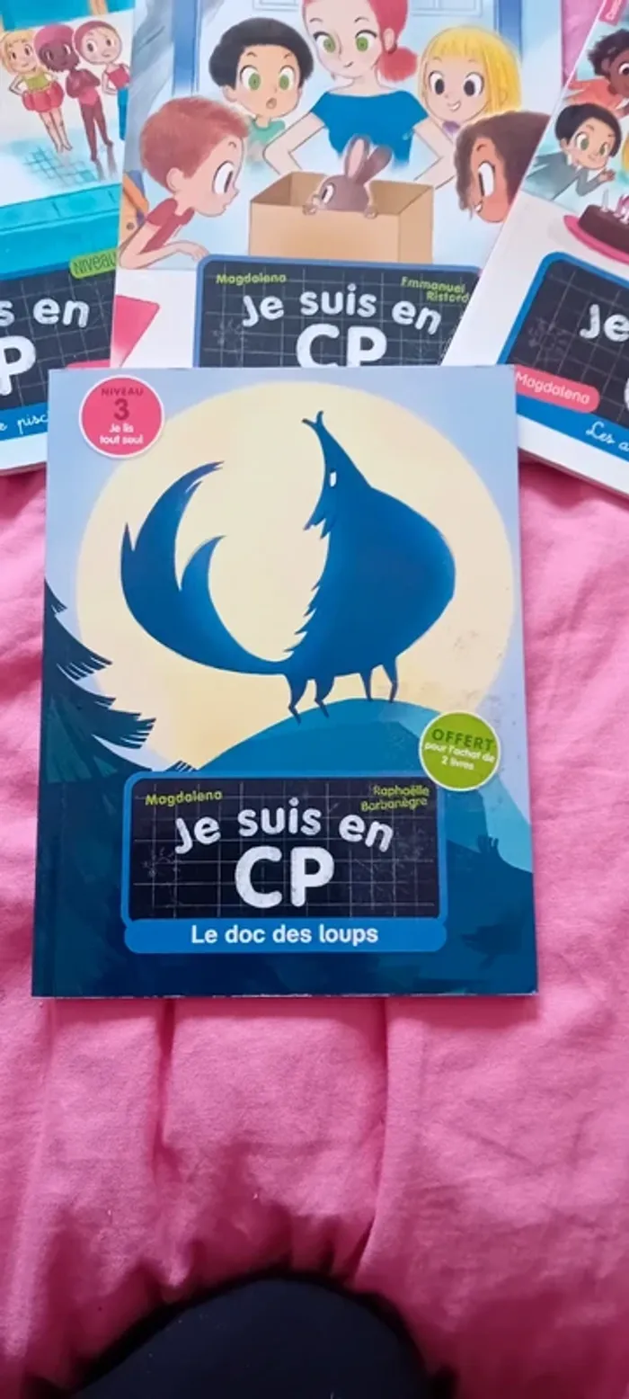Livres enfants je suis en CP niveau 2 et 3 - photo numéro 5