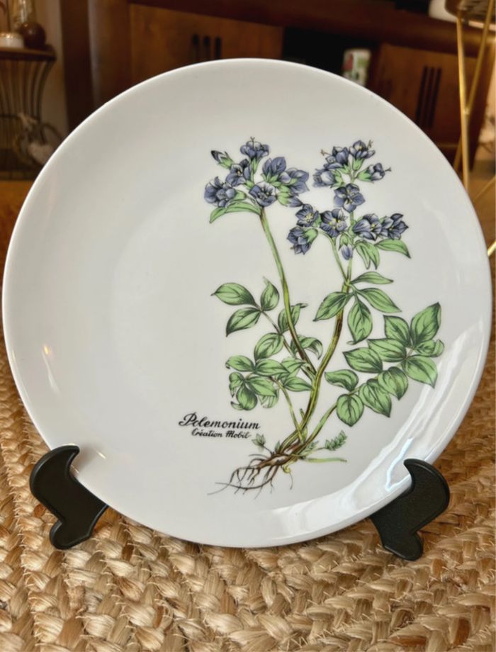 Assiette plate en porcelaine
