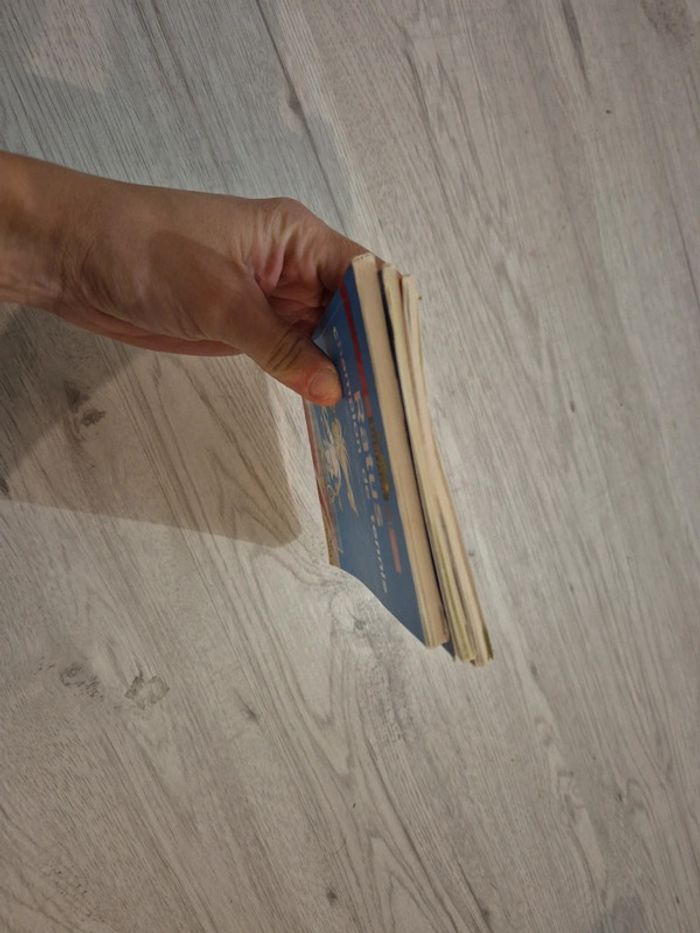 Lot de livre RATUS livre de poche - photo numéro 6