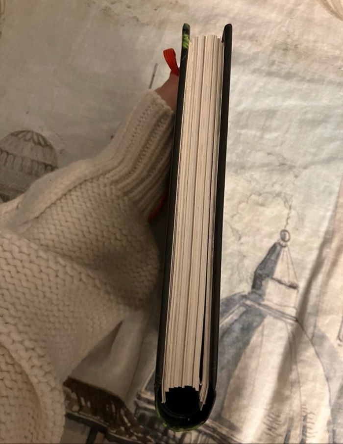 Le boy’s book - photo numéro 4