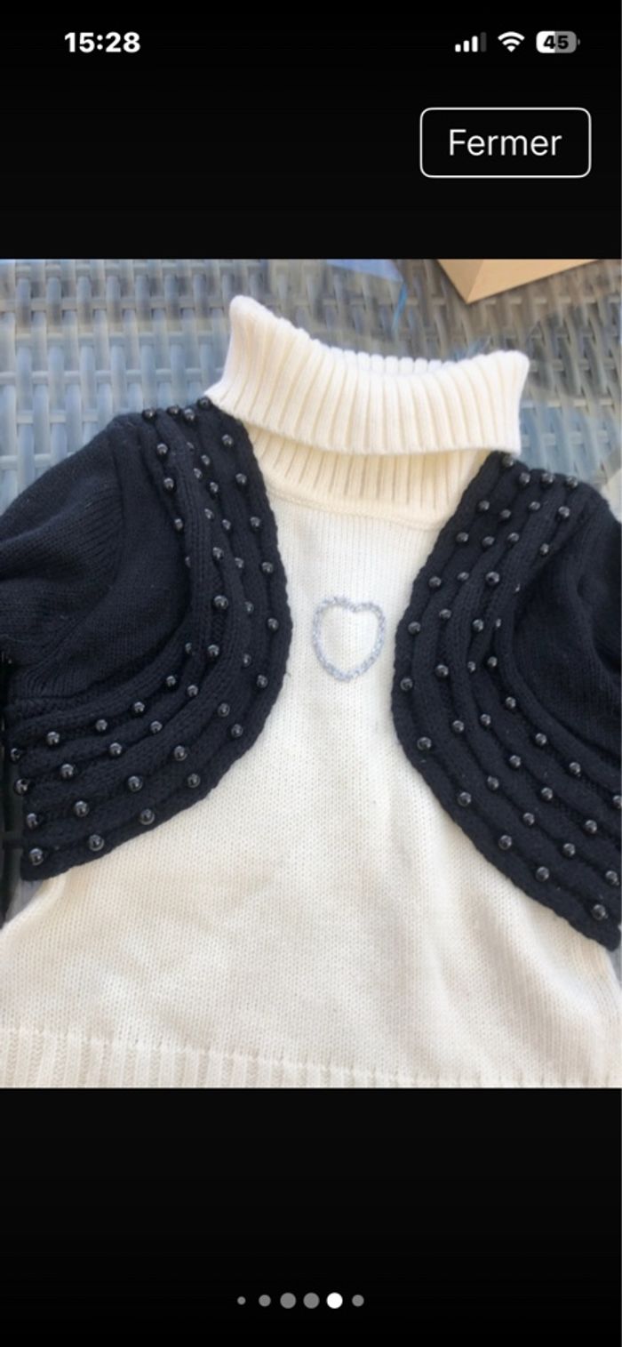 Pull 2/1 - photo numéro 2