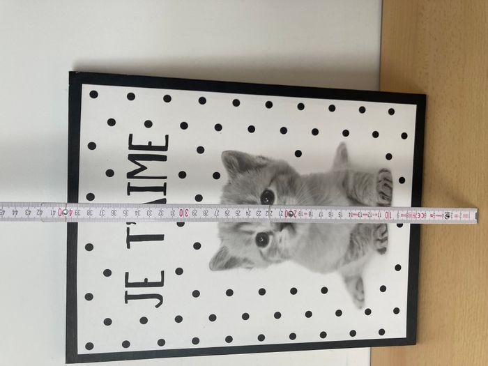 tableau chat - photo numéro 4