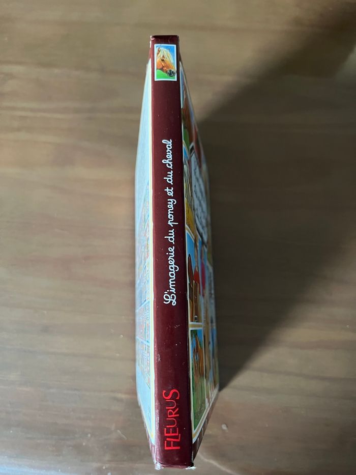 L’imagerie du poney et du cheval  FLEURUS - photo numéro 4