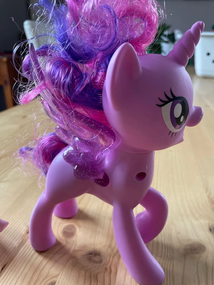 My little pony - photo numéro 4
