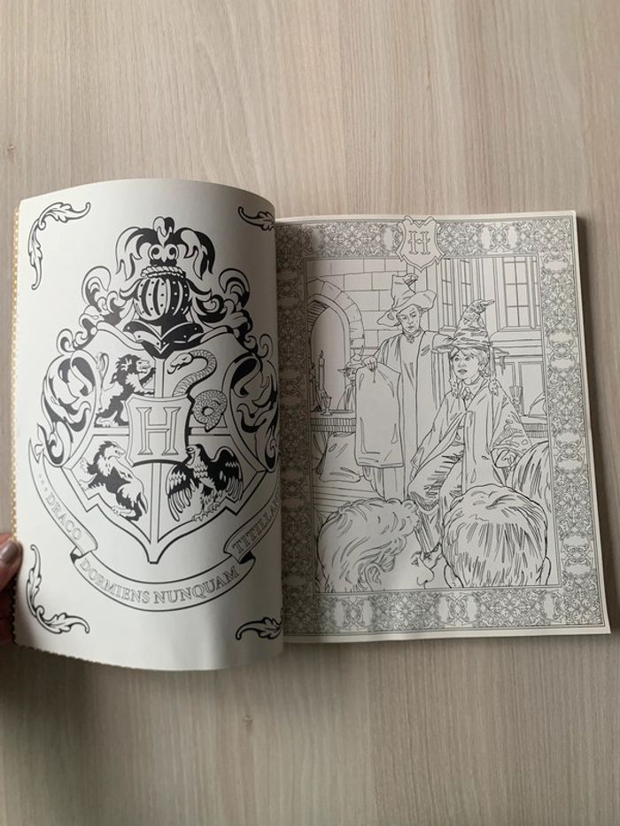 Livre de coloriage Harry Potter - photo numéro 4