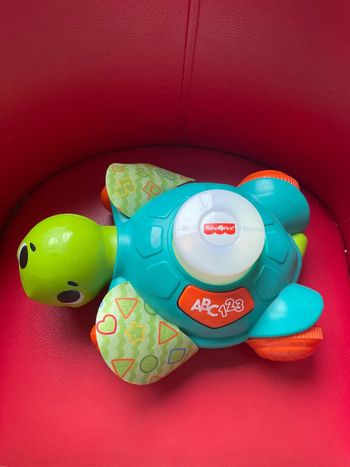 Linkimals tortue