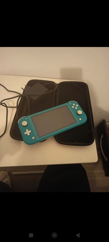 Switch lite