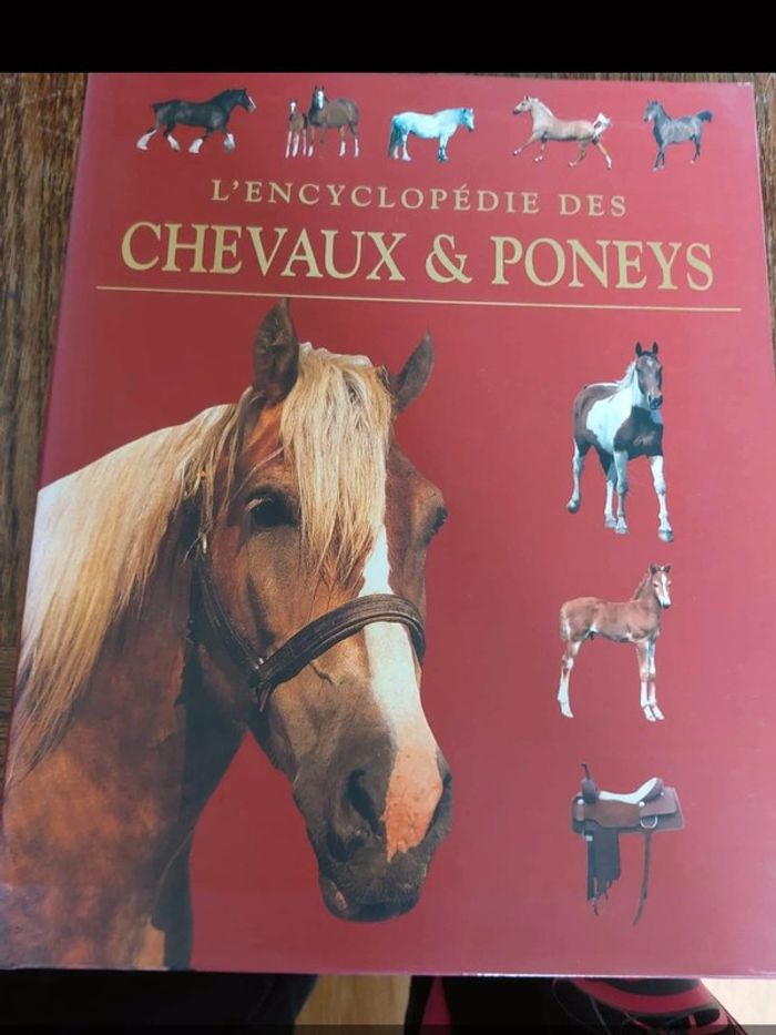 Encyclopédie des chevaux et poneys
