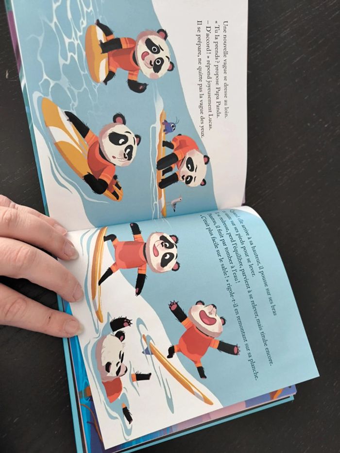 Livre - initiation au surf - photo numéro 4