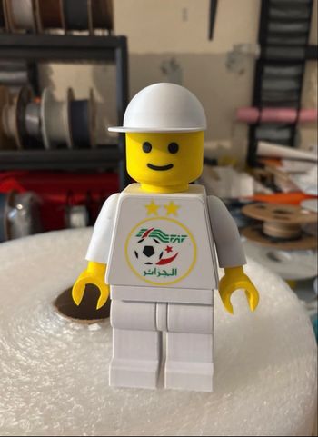 Lego Algérie 20cm 