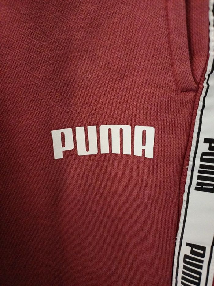 Bas survêtement puma - photo numéro 2
