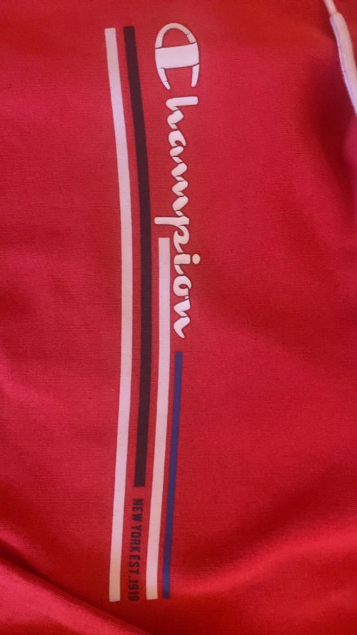 Pull champion - photo numéro 2