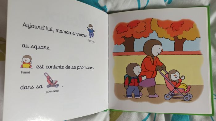 Lot 17 livres T'choupi - photo numéro 4