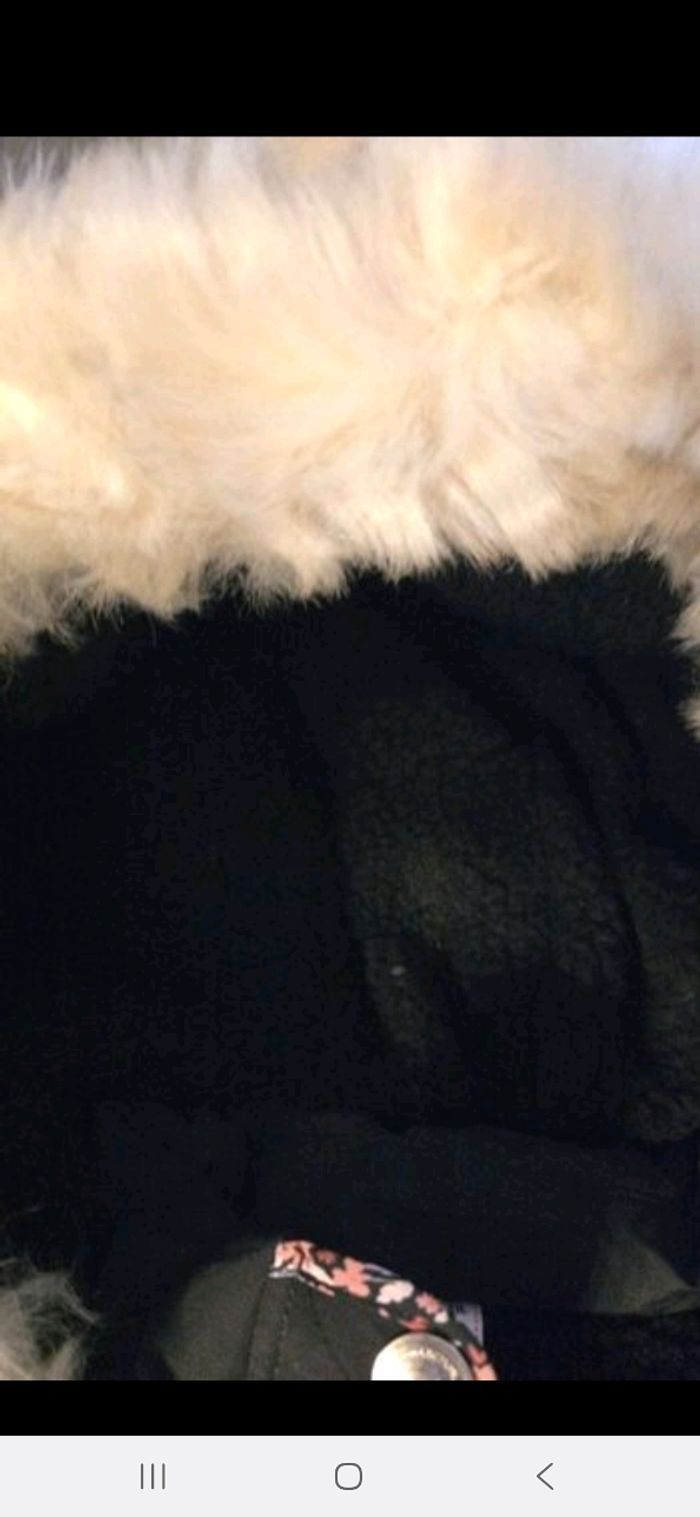 (Neuve non portée)🏷😍🥰 doudoune chaude 12 ans fille 😍🥰🩷 - photo numéro 8