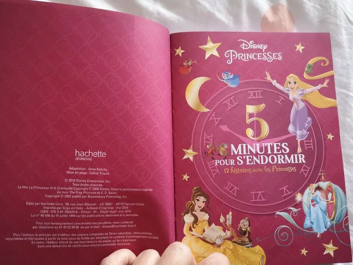 Livre Disney Princesses - photo numéro 3