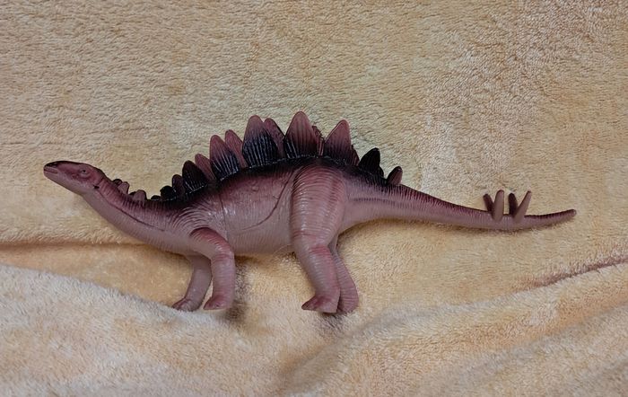 Dinosaure stégosaure - photo numéro 2