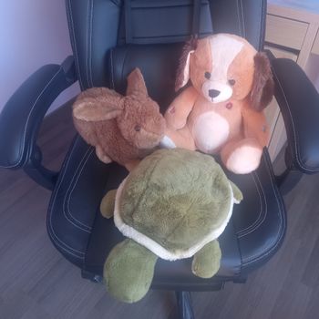 Lot nounours 30 - 35 cm
