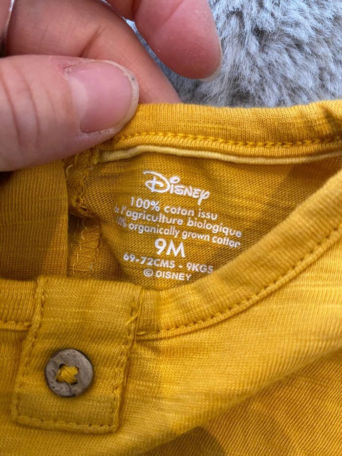 Tee-shirts 9 mois - photo numéro 3
