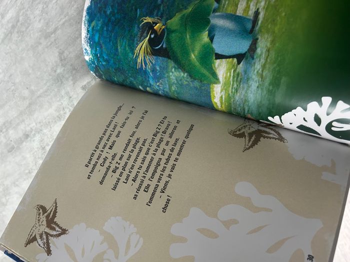 livre BD les rois de la glisse l'album du film - photo numéro 3