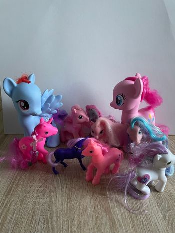 Lot poneys