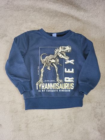 Pull garçon 2- 3 ans