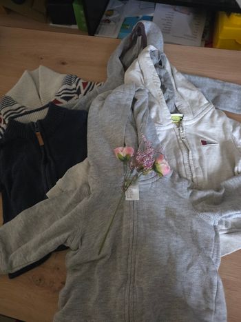 Lot pull/gilet, 3 mois 🦆