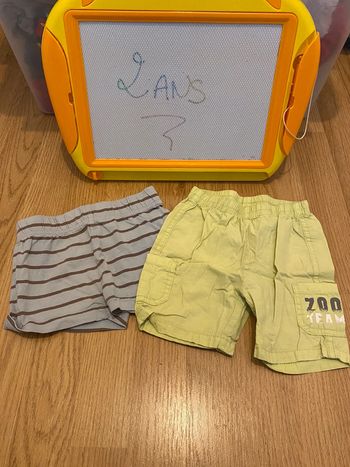 Lot shorts