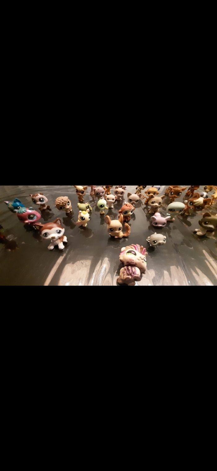 Lot Petshops - photo numéro 3