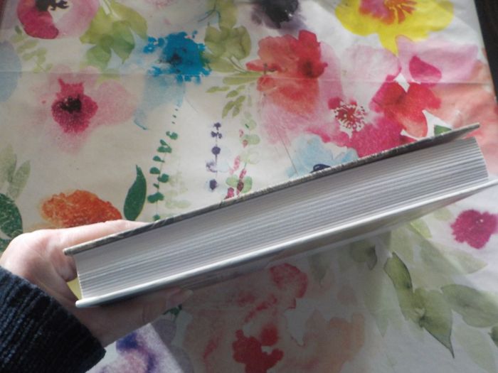 LA JEUNESSE D'ALBERT De la Bretagne à l'Algérie par A. NAOUR Ed.Liv Mémoire du Finistère - photo numéro 5