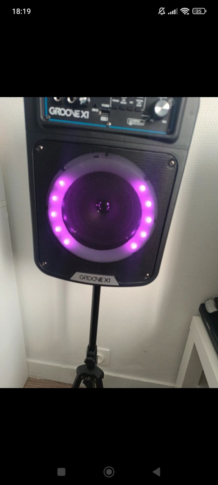 Enceinte sur pied - photo numéro 2