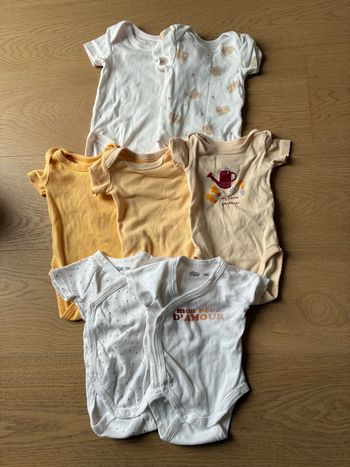 Lot 7 bodies manches courtes 