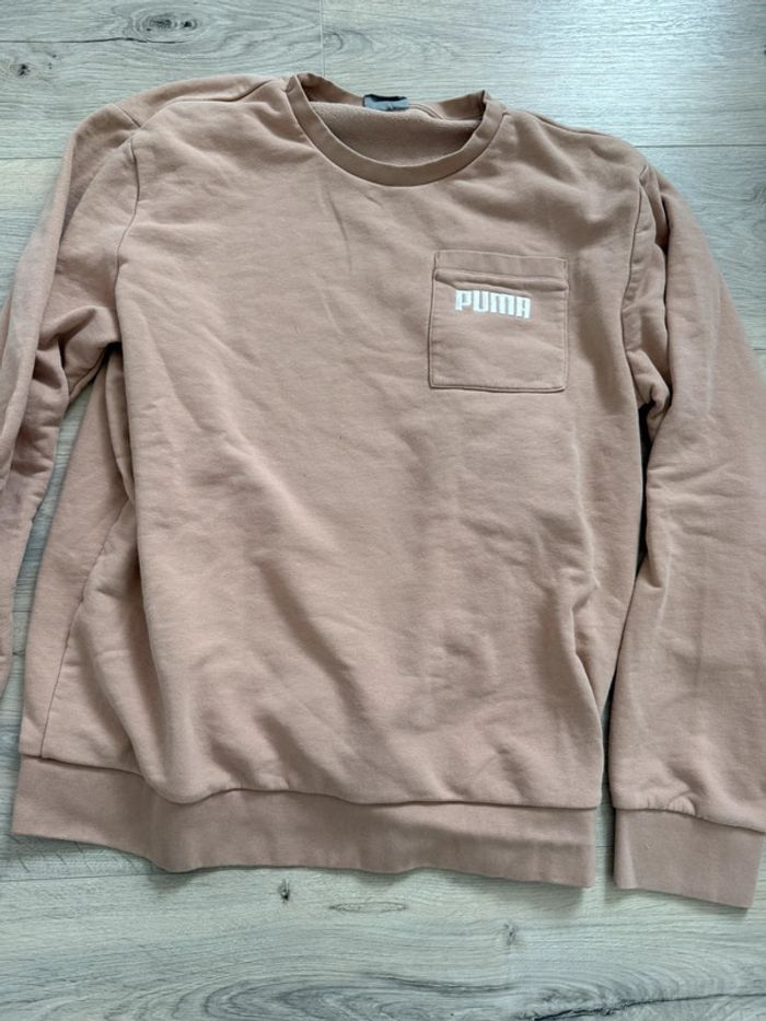 Pull puma - photo numéro 3
