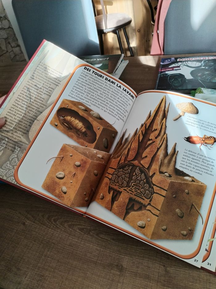 Livre doc enfant - photo numéro 3