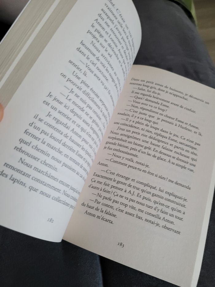 roman minecraft le choc (6e) - photo numéro 2