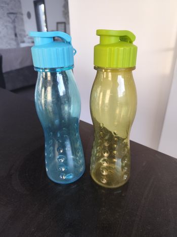 Lot gourdes 700ml