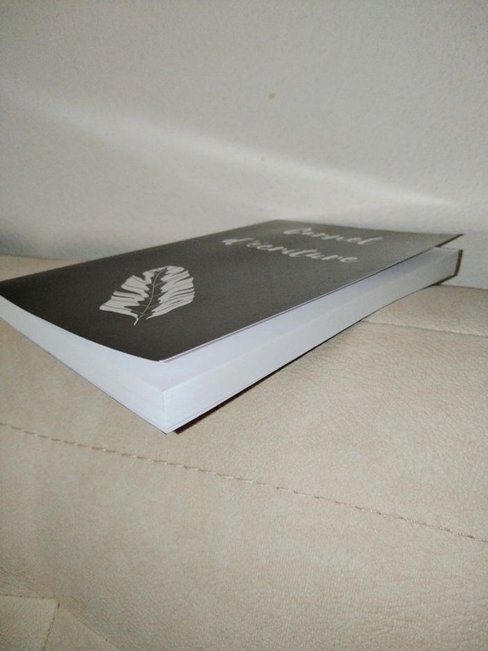 Carnet d'écriture neuf - photo numéro 3