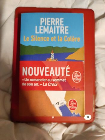 Pierre Lemaitre Le silence et la colère
