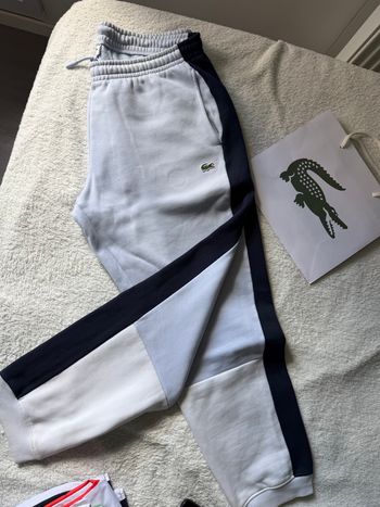 Jogging Lacoste 