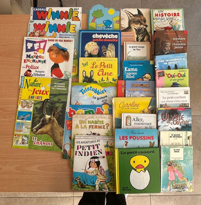 lot de 25 livres pour enfants 🌈