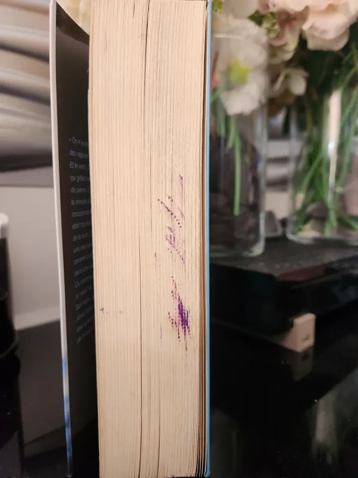 livre "La petite fille du phare" - photo numéro 5
